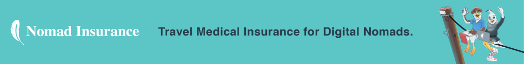 Safetywing Insurance banner